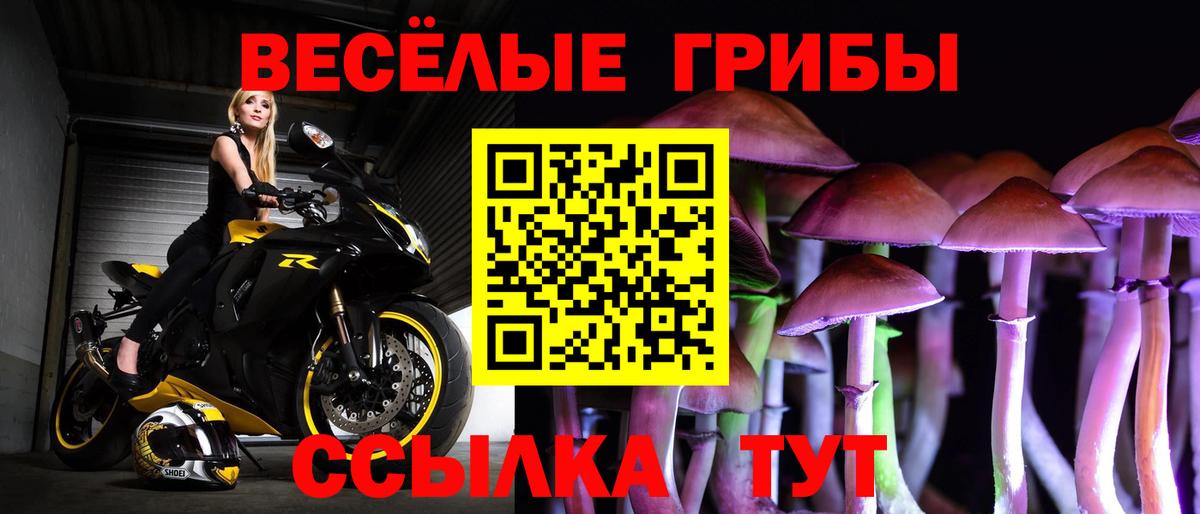 сколько стоит  Галлюциногенные грибы Psilocybe  Вход с VPN  Новокубанск 