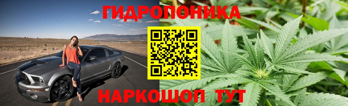 Новокубанск  Марихуана Amnesia  Шишки марихуана сатива  Вход с VPN  Марихуана White Widow 
