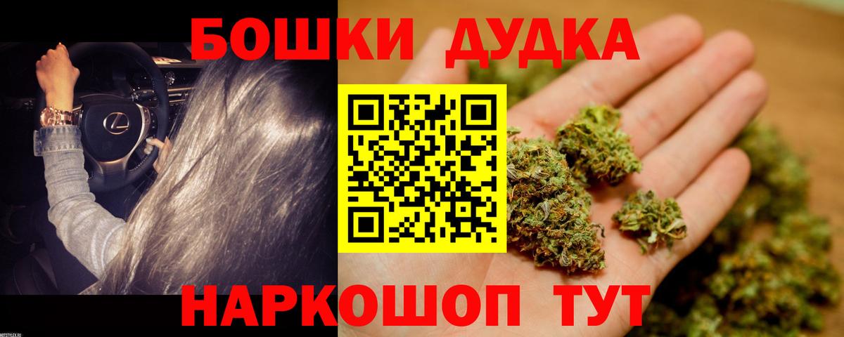 МАРИХУАНА планчик Новокубанск